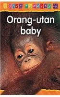Orang-utan Baby by Monica Hughes