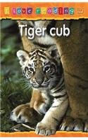 Tiger Cub: Orange Reading Level (I Love Reading) by Monica Hughes