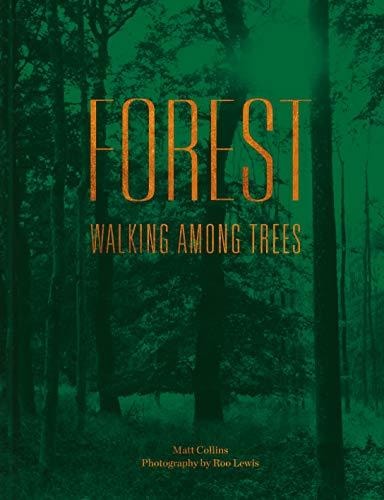 Forest: Walking among trees by Matt Collins