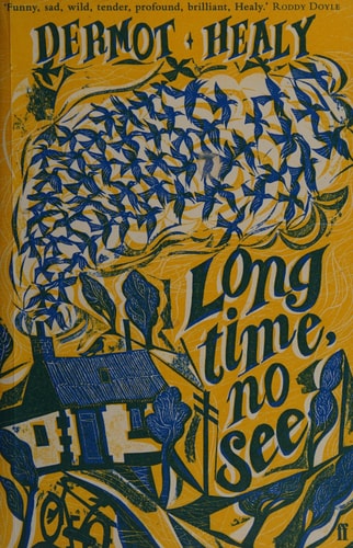 Long Time, No See by Dermot Healy
