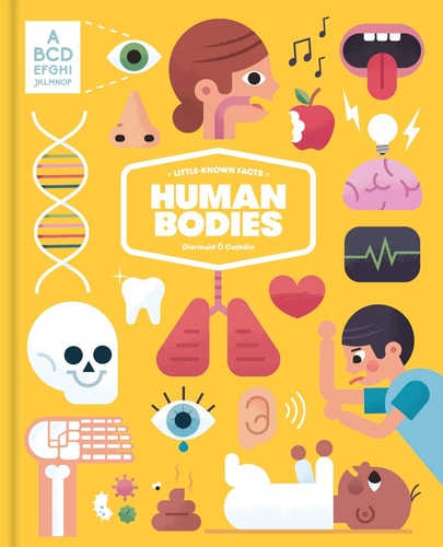 Little Known Facts: The Human Body by Diarmuid +ô Catháin