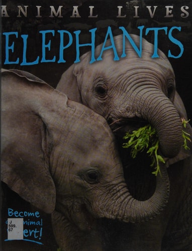 Elephants by Sally Morgan