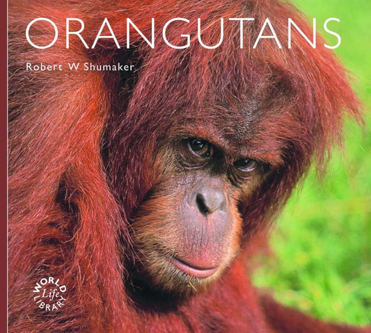 Orangutans (World Life Library) by Robert Shumaker
