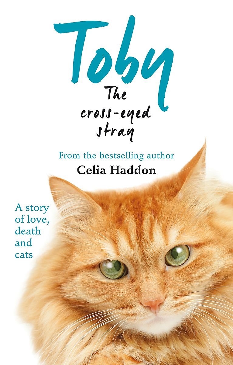 Toby The Cross-Eyed Stray by NA