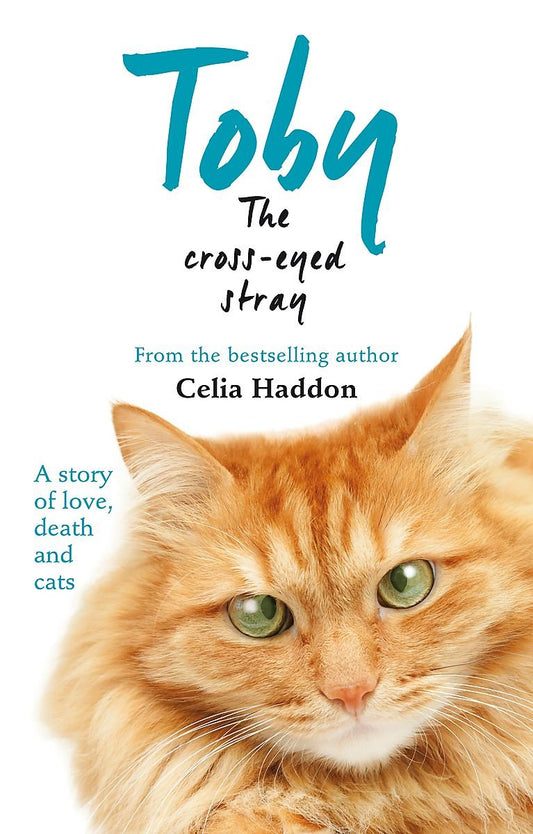 Toby The Cross-Eyed Stray by NA
