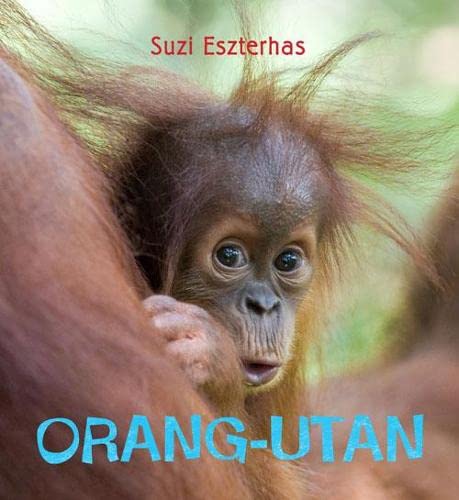 Orang-utan by Suzi Eszterhas